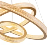 Close-up of Ring Chandelier High-Translucency Acrylic