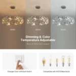 Vintage Crystal Chandelier E12 Bulb Compatibility and Dimmer Guide