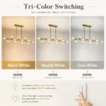 Mid Century Modern Chandelier with warm white neutral white and cool white lighting