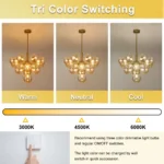 Bubble chandelier showing warm neutral and cool color temperatures