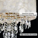 Crystal drum chandelier detail showing real shell shade and K9 crystal drops