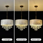 Drum shade chandelier shown with cold natural and warm light bulb options