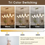 Globe chandelier showing warm neutral and cool light with three color bulbs
