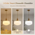 Milk glass pendant light shown with warm neutral and white light options