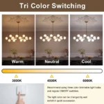 Modern linear chandelier shown with 3000K 4500K and 6000K light color options