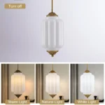 Farmhouse pendant light showing warm natural and white light color temperatures