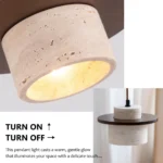 Natural stone pendant light showing its porous cylindrical shade, warm illuminated interior and dark wood disc.